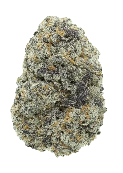 Bubblegum Strain