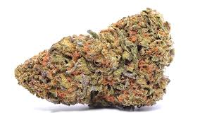 AK 47 Strain