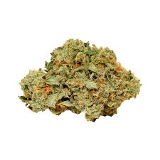 Blue Cheese Strain