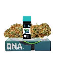 Plug DNA Jack Herer