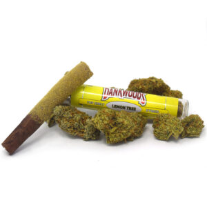 Dankwoods GSC Pre Roll