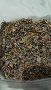 High Quality Changa For Sale