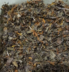 High Quality Changa For Sale