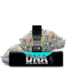 PLUNG N PLAY