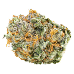 STRAINS